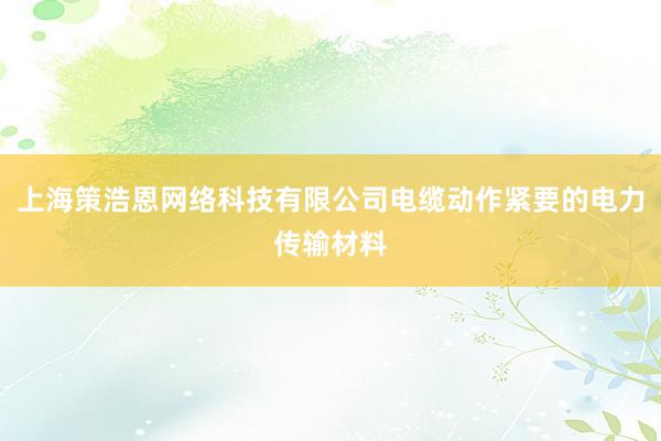 上海策浩恩网络科技有限公司电缆动作紧要的电力传输材料